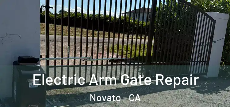 Electric Arm Gate Repair Novato - CA