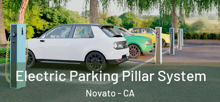 Electric Parking Pillar System Novato - CA