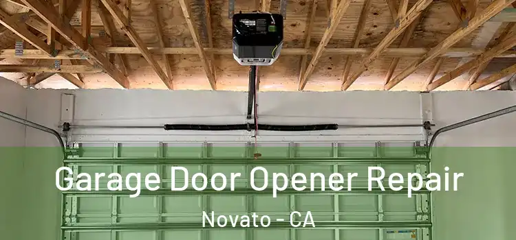  Garage Door Opener Repair Novato - CA