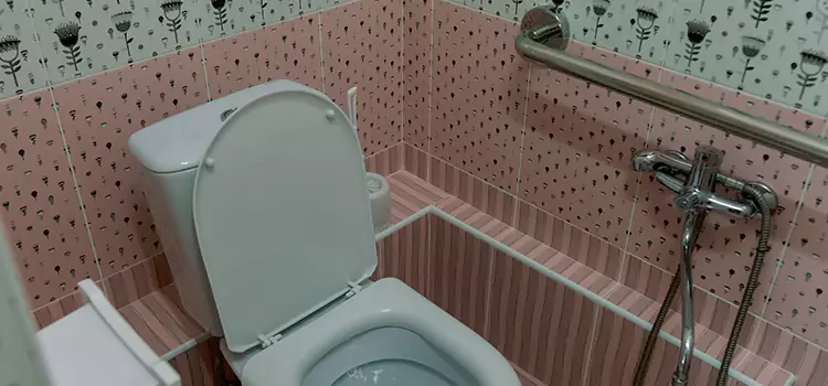 Meeting Diverse Needs With Accessible Restroom Solutions in Novato, CA
